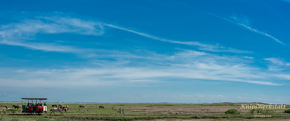 DSC_0264-Bearbeitet
