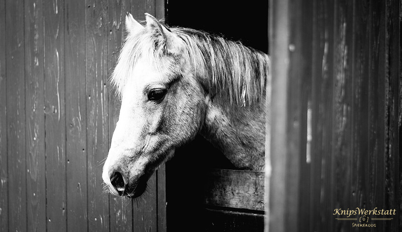20150315-DSC_4377Bauernhof_PK