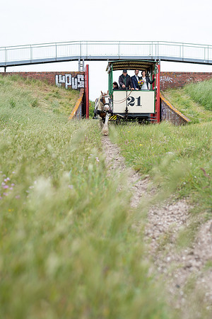 D75_2079