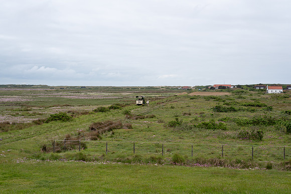 D75_2089