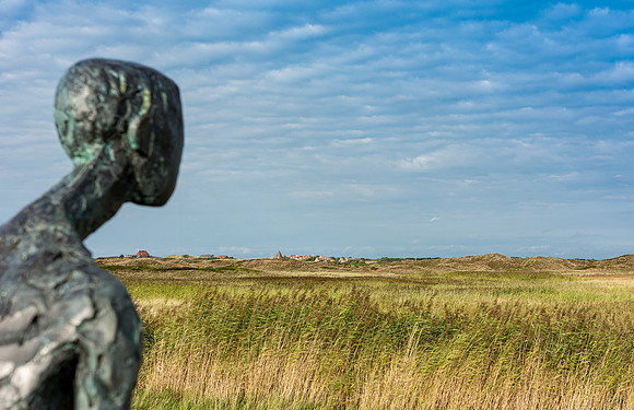 DSC_4603