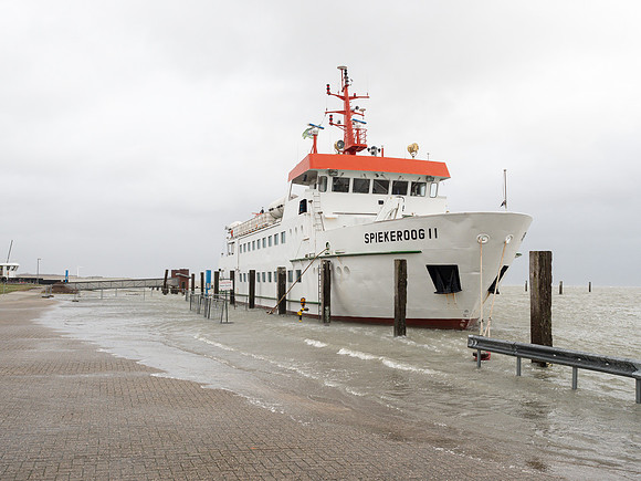 PKoesters-1099617