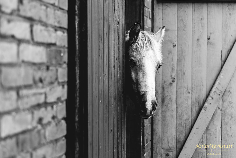 20150315-DSC_4359Bauernhof_PK