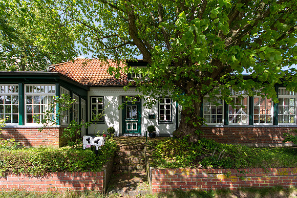 PKoesters-0479