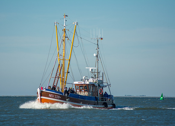 PKoesters-4252