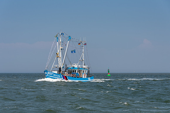 PKoesters-4748